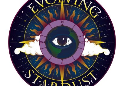 Evolving Stardust